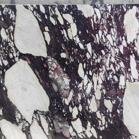 Calacatta Viola — Marble